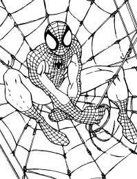 Человек паук на паутине Раскрашивать раскраски для мальчиков