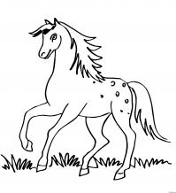 Раскраски красивая лошадь Раскрашивать раскраски для мальчиков