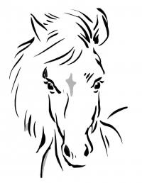 Раскраски лошадь красивая Раскраски для мальчиков