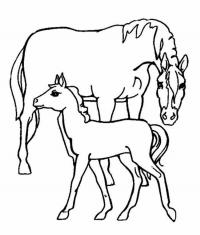 Лошадь и жеребенок Раскрашивать раскраски для мальчиков