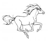 Скачущая лошадь Раскраски для мальчиков