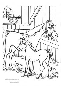 Лошадь и жеребенок в амбаре Раскрашивать раскраски для мальчиков