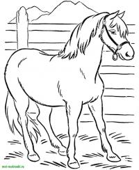 Лошадь пасется на ферме Раскраски для мальчиков