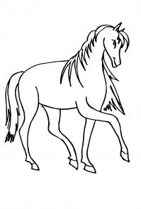 Раскраска лошадь красивая Раскраски для мальчиков