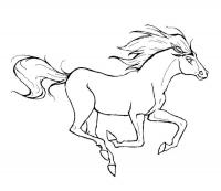 Лошадь бежит Раскрашивать раскраски для мальчиков
