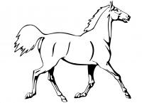 Раскраска дикая лошадь Раскраски для мальчиков