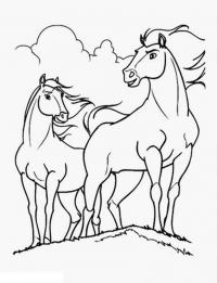 Лошади на холме Раскраски для мальчиков