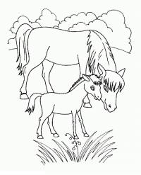 Раскраски лошади на лугу Раскраски для мальчиков