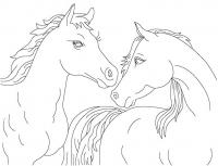 Пара лошадей Раскраски для мальчиков