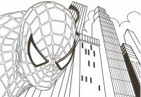 Человек паук на фоне небоскреба Раскрашивать раскраски для мальчиков