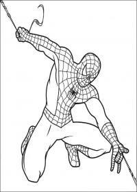 Человек паук перемещается с помощью паутины Распечатать раскраски для мальчиков