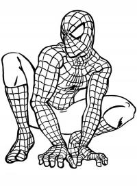 Человек паук в костюме сидит готовый к прыжку Распечатать раскраски для мальчиков