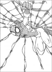Человек паук сплел паутину Распечатать раскраски для мальчиков