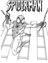 Человек паук в прыжке Раскраски для мальчиков