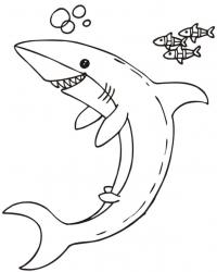Акула и рыбки Раскраски для мальчиков бесплатно