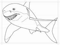 Про акул Раскраски для мальчиков бесплатно