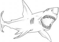 Страшная акула с открытой пастью Раскраски для мальчиков бесплатно