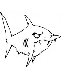 Злая акула с торчащими зубами Раскраски для мальчиков бесплатно