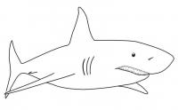 Акула показывает свои зубы Раскраски для мальчиков бесплатно