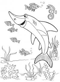 Акула рыбки и коньки Раскраски для мальчиков бесплатно