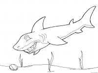 Зубастая акула Раскраски для мальчиков бесплатно