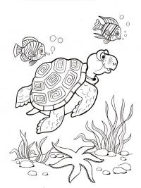 Морская черепаха и рыбки Распечатать раскраски для мальчиков