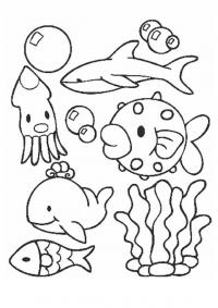 Акула, рыбка, кит, водоросли Распечатать раскраски для мальчиков