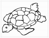 Большая морская черепаха Распечатать раскраски для мальчиков