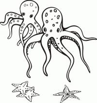 Два осьминога и морские звезды Распечатать раскраски для мальчиков