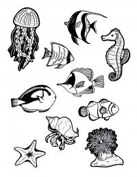 Рыбки, морские коньки и медузы Распечатать раскраски для мальчиков