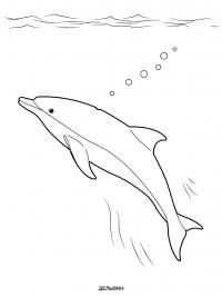 Дельфин в море Распечатать раскраски для мальчиков