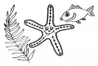 Водоросль, морская звезда и рыбка Распечатать раскраски для мальчиков