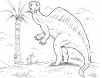 Динозавр рядом с пальмой Раскраски для мальчиков