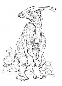 Динозавр с гребнем на голове Раскраски для мальчиков