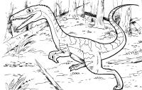 Динозавр в лесу Раскраски для мальчиков