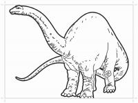 Динозавр с горбом Раскраски для мальчиков