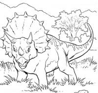 Динозавр с клювом Раскраски для мальчиков