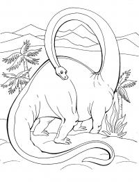Динозавр с очень длинной шеей Раскраски для мальчиков