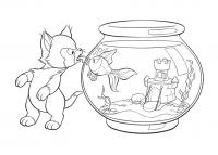 Котенок лижет аквариум Раскраски для мальчиков бесплатно