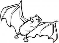 Летучая мышь с клыками Раскраски для мальчиков