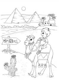 Пирамиды египта, мальчик на верблюде, цветущий кактус Раскраски для мальчиков бесплатно