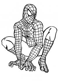 Супергерой человек-паук Раскрашивать раскраски для мальчиков